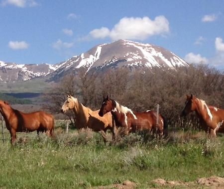 Mount Peale Country Inn La Sal Eksteriør bilde
