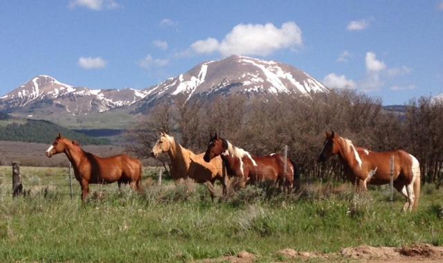 Mount Peale Country Inn La Sal Eksteriør bilde